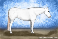 Horse Color:Grullo Splash Tobiano Appaloosa