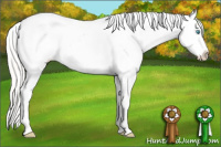 Horse Color:White Spotted Cremello Dun Blanket 