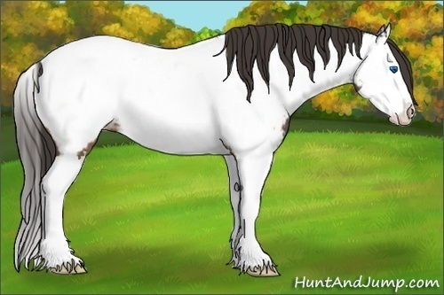 Horse Color:Brown Roan Splash Near Fewspot 