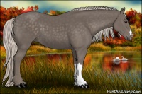 Horse Color:Silver Black 