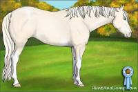 Horse Color:White Spotted Palomino Pearl 