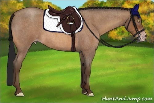 Horse Color:Gray Amber Champagne Roan 