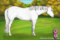 Horse Color:White Spotted Cremello Dun Splash Appaloosa 