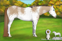 Horse Color:Gray White Spotted Smoky Creme Dun Sabino 