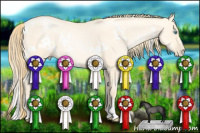 Horse Color:White Spotted Buckskin Pearl Dun Sabino 