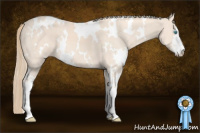 Horse Color:White Spotted Perlino Sabino