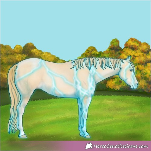Horse Color:Thunderstruck Buckskin Pearl 