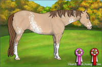 Horse Color:Gray White Spotted Perlino Dun Sabino 