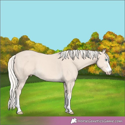 Horse Color:Cremello 