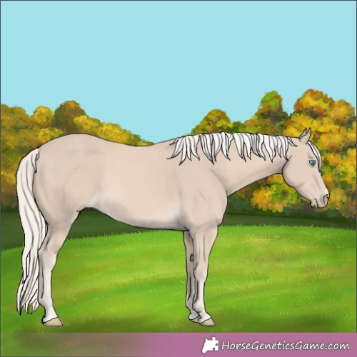 Horse Color:Cremello 
