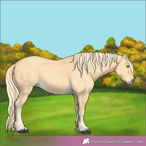 Horse Color:Palomino Dun 