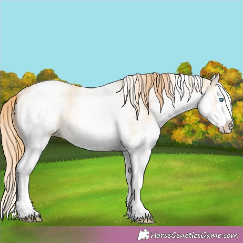 Horse Color:White Spotted Buckskin Pearl Splash 