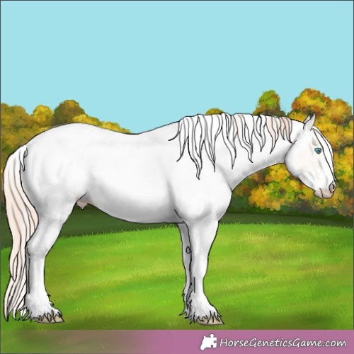 Horse Color:White Spotted Amber Cream Champagne Ice Pearl Dun Appaloosa 