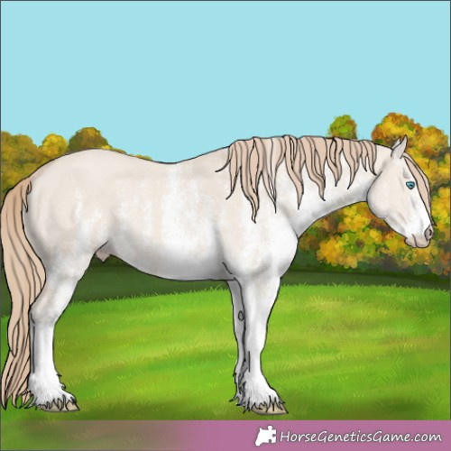 Horse Color:White Spotted Smoky Creme Dun 