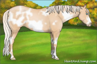 Horse Color:White Spotted Palomino Pearl Frame