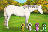 Horse Color:White Spotted Perlino Dun 