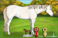 Horse Color:White Spotted Perlino Dun 