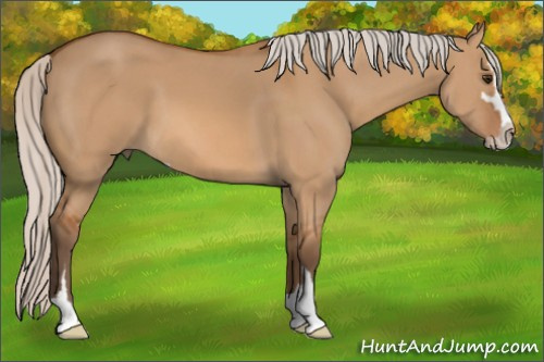 Horse Color: Silver Bay Dun Sabino 