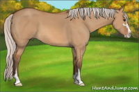 Horse Color:Silver Bay Dun Sabino 