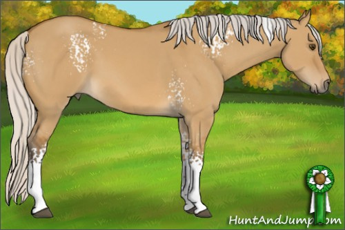 Horse Color: White Spotted Silver Buckskin Dun 