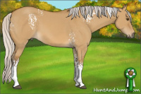 Horse Color:White Spotted Silver Buckskin Dun 