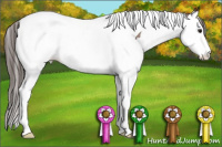Horse Color:Bay Roan Splash Tobiano Blanket 