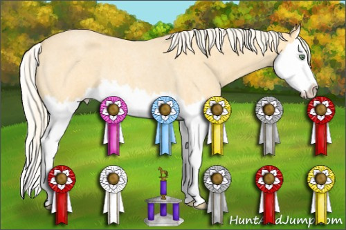 Horse Color: Gold Cream Champagne Roan Splash Rabicano 