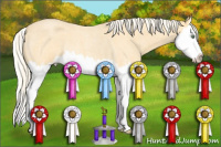 Horse Color:Gold Cream Champagne Roan Splash Rabicano 