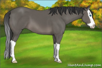 Horse Color:Brown Splash 