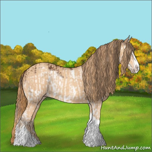 Horse Color:Bay Splash Frame and Gold Champagne Roan Splash Tobiano