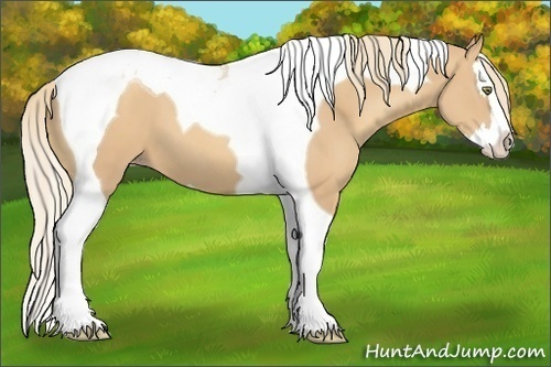 Horse Color:Gold Champagne Splash Tobiano 