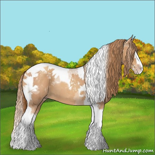 Horse Color:Gold Champagne Splash Tobiano