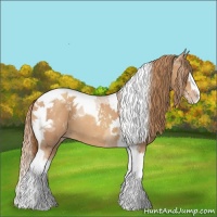 Horse Color:Gold Champagne Splash Tobiano 
