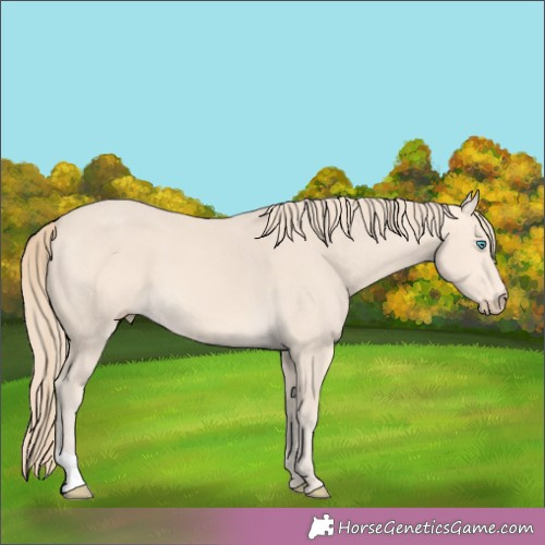 Horse Color:Perlino 