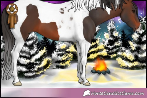 Horse Color:Brown Tobiano 