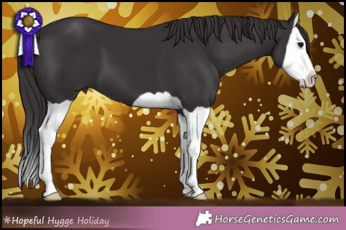 Horse Color: Smoky Black Splash 