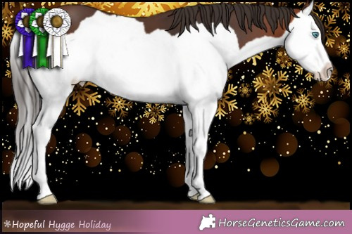 Horse Color:Bay Splash 