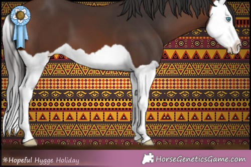 Horse Color:Brown Splash 