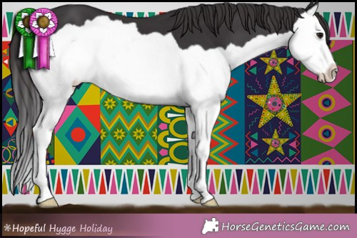 Horse Color:Smoky Black Splash 