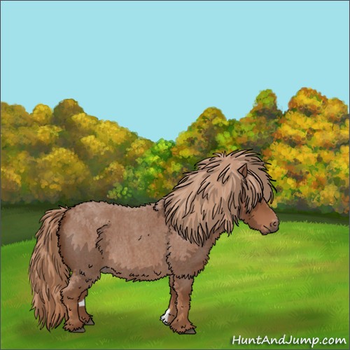 Horse Color:Red Roan