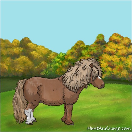 Horse Color:Red Roan