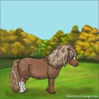 Horse Color:Red Roan 