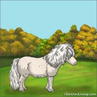Horse Color:Cremello 
