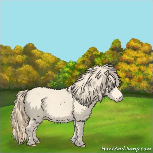 Horse Color:Perlino 