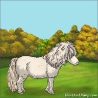 Horse Color:Perlino 