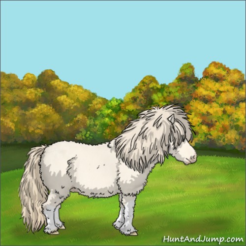 Horse Color:Perlino Dun