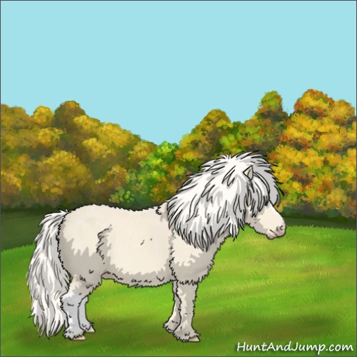 Horse Color:Cremello 