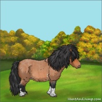 Horse Color:Bay Roan Tobiano 