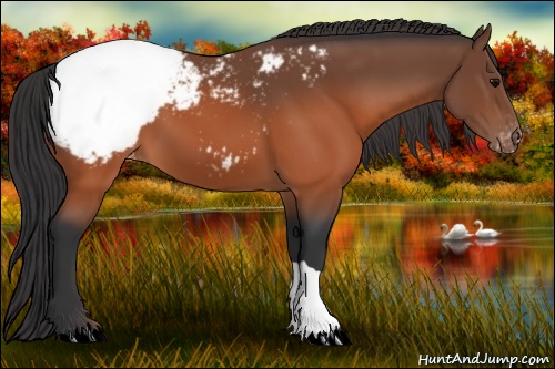 Horse Color: Brown Snowcap 
