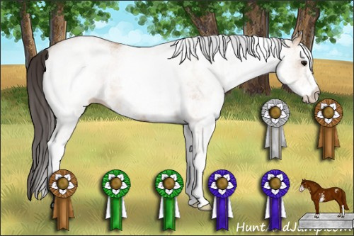 Horse Color: White Spotted Bay Dun 
